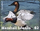 Canvasback Aythya valisineria  2022 Ducks of the Marshall Islands Sheet