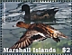 Eurasian Wigeon Mareca penelope  2022 Ducks of the Marshall Islands Sheet