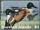 Northern Shoveler Spatula clypeata  2022 Ducks of the Marshall Islands Sheet