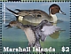 Northern Pintail Anas acuta  2022 Ducks of the Marshall Islands Sheet