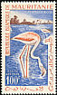 Greater Flamingo Phoenicopterus roseus