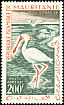 African Spoonbill Platalea alba