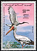 Yellow-billed Stork Mycteria ibis