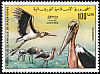 Marabou Stork Leptoptilos crumenifer