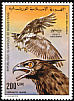 Martial Eagle Polemaetus bellicosus  1976 Mauritanian birds 