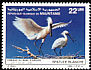 Eurasian Spoonbill Platalea leucorodia