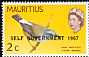 Mauritius Grey White-eye Zosterops mauritianus  1967 Overprint SELF GOVERNMENT 1967 on 1965.01 