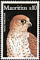 Mauritius Kestrel Falco punctatus