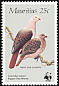 Pink Pigeon Nesoenas mayeri  1985 WWF, Pink Pigeon 