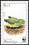 Echo Parakeet Psittacula eques  2003 WWF 