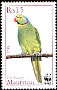 Echo Parakeet Psittacula eques  2003 WWF 