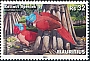 Broad-billed Parrot Lophopsittacus mauritianus †