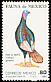 Wild Turkey Meleagris gallopavo  1980 Mexican fauna 