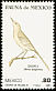 Northern Mockingbird Mimus polyglottos  1981 Mexican fauna 