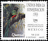 Resplendent Quetzal Pharomachrus mocinno  1993 America 