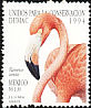 American Flamingo Phoenicopterus ruber  1994 DUMAC 