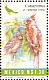 Pyrrhuloxia Cardinalis sinuatus  1994 Nature conservation 24v sheet