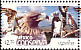 Ornate Hawk-Eagle Spizaetus ornatus  2005 Conservation 7v set