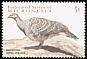 Malleefowl Leipoa ocellata