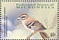 Golden-crowned Kinglet Regulus satrapa  2001 Birds Sheet