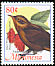 Giant White-eye Megazosterops palauensis  2002 Definitives 