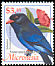 Oriental Dollarbird Eurystomus orientalis