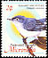 Blue-grey Gnatcatcher Polioptila caerulea  2004 Definitives 