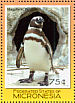 Magellanic Penguin Spheniscus magellanicus