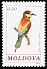European Bee-eater Merops apiaster  1992 Birds 