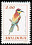 European Bee-eater Merops apiaster