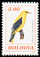 Eurasian Golden Oriole Oriolus oriolus  1993 Birds 