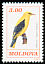 Eurasian Golden Oriole Oriolus oriolus