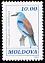 European Roller Coracias garrulus  1993 Birds 