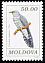 Common Cuckoo Cuculus canorus  1993 Birds 