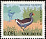 Common Moorhen Gallinula chloropus  1996 Birds 