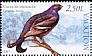 Black Grouse Lyrurus tetrix  2007 Birds 