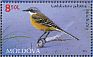 Western Yellow Wagtail Motacilla flava  2014 Fauna 6v set