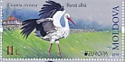 White Stork Ciconia ciconia  2019 Europa Booklet