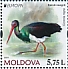 Black Stork Ciconia nigra  2021 Europa 2x2v sheet