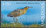 Eurasian Bittern Botaurus stellaris  2021 Prutul de Jos 