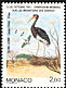 Abdim's Stork Ciconia abdimii