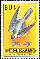 Peregrine Falcon Falco peregrinus