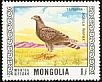 Steppe Eagle Aquila nipalensis