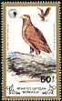 White-tailed Eagle Haliaeetus albicilla  1988 White-tailed Sea Eagle 