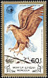 White-tailed Eagle Haliaeetus albicilla  1988 White-tailed Sea Eagle 