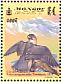 Barbary Falcon Falco pelegrinoides  1999 Falcons Sheet