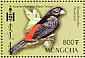 Scarlet-rumped Tanager Ramphocelus passerinii