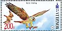 Saker Falcon Falco cherrug