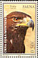 Golden Eagle Aquila chrysaetos