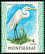 Great Egret Ardea alba  1970 Birds Chalk-surfaced paper